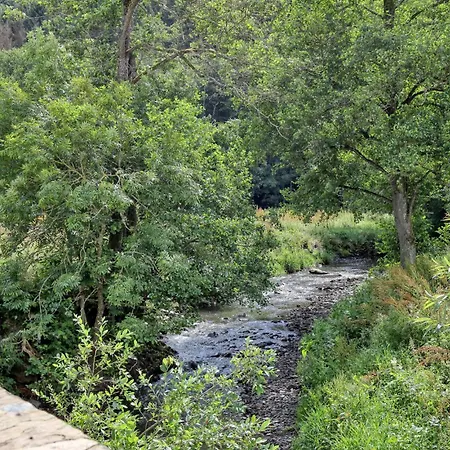 Munkler Muehle Whg 1 Apartment *