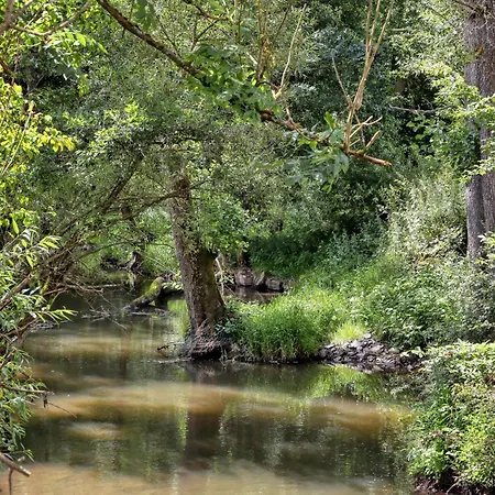 Munkler Muehle Whg 1