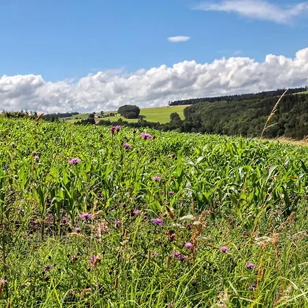 Munkler Muehle Whg 1 Apartment