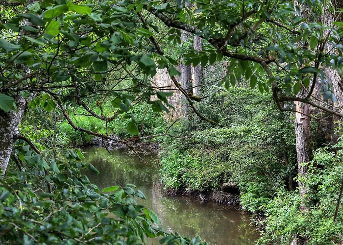 Munkler Muehle Whg 1 *