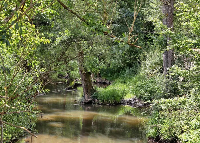 Munkler Muehle Whg 1