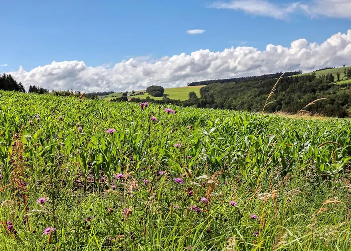 Munkler Muehle Whg 1 アパート